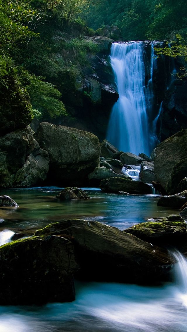 Free Nature Wallpaper - 640x1136 - teahub.io