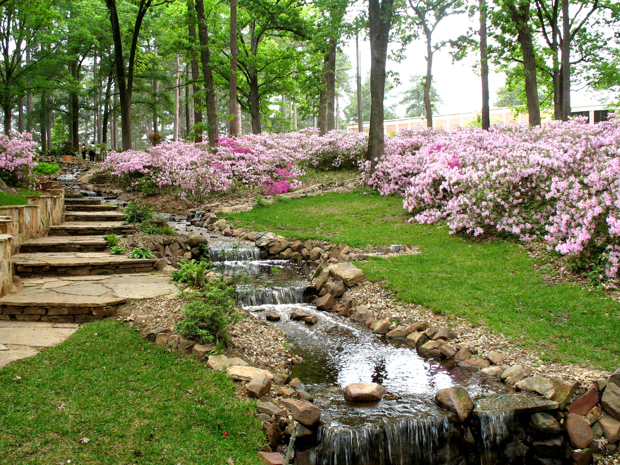beautiful spring landscape wallpapers