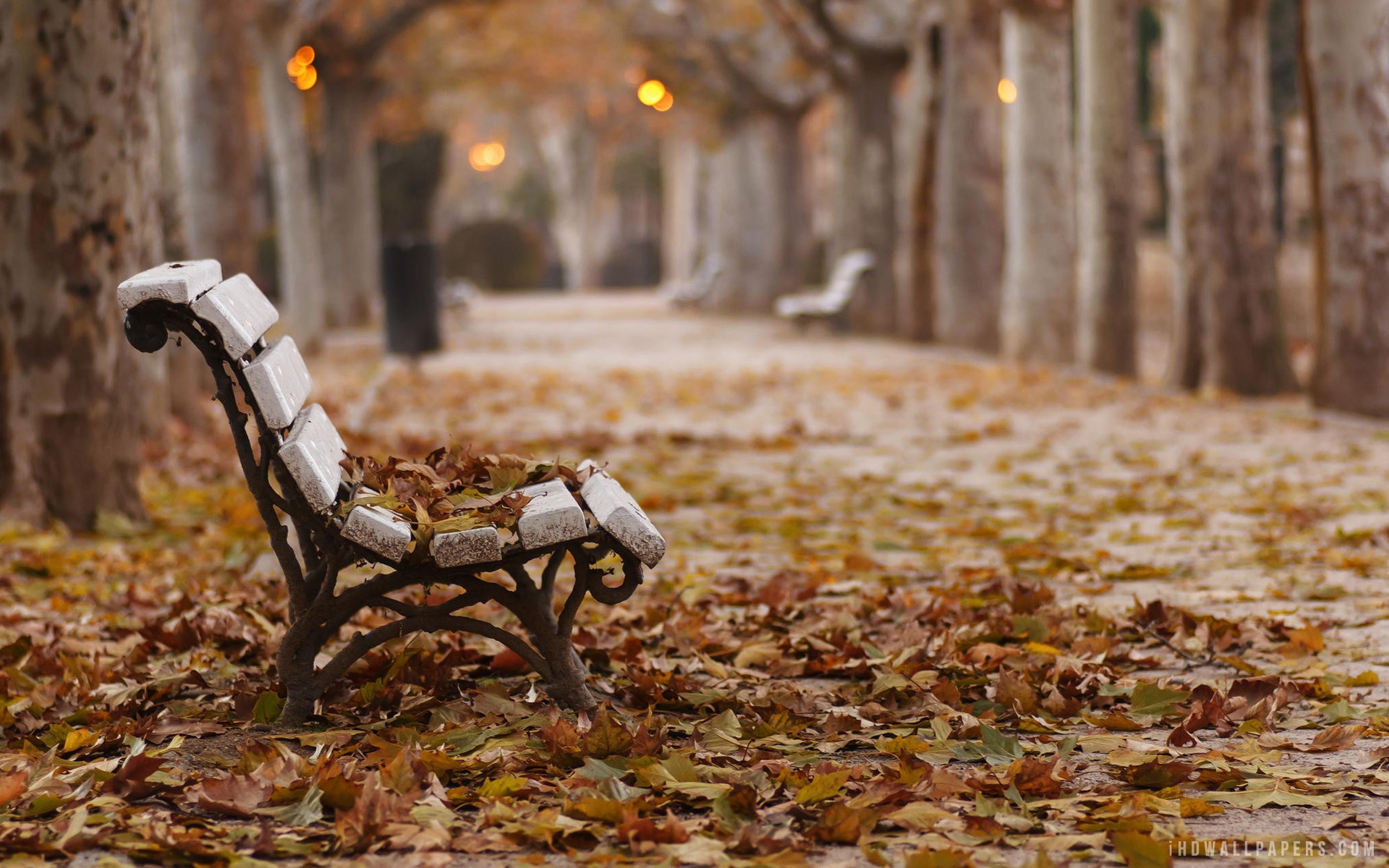 Bench In Garden Hd - HD Wallpaper 