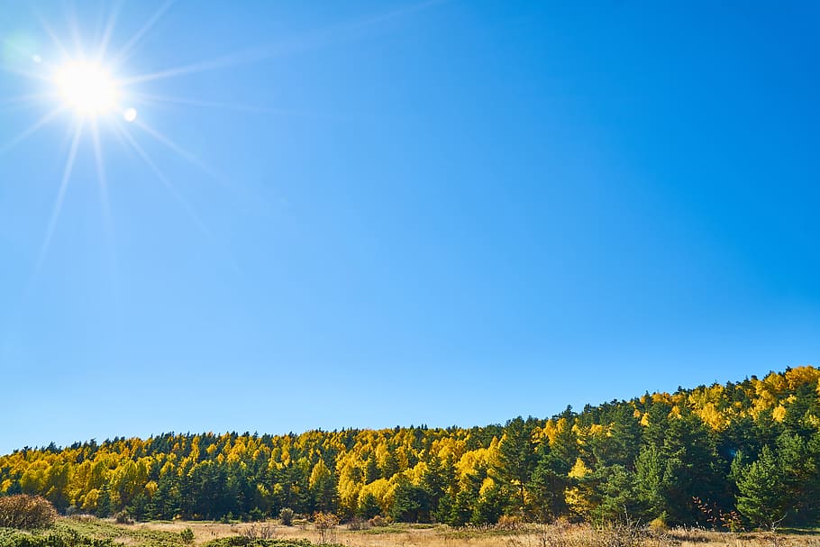 Autumn, Season, Landscape, Nature, Beautiful, Background, - Beautiful Background Images Landscape - HD Wallpaper 
