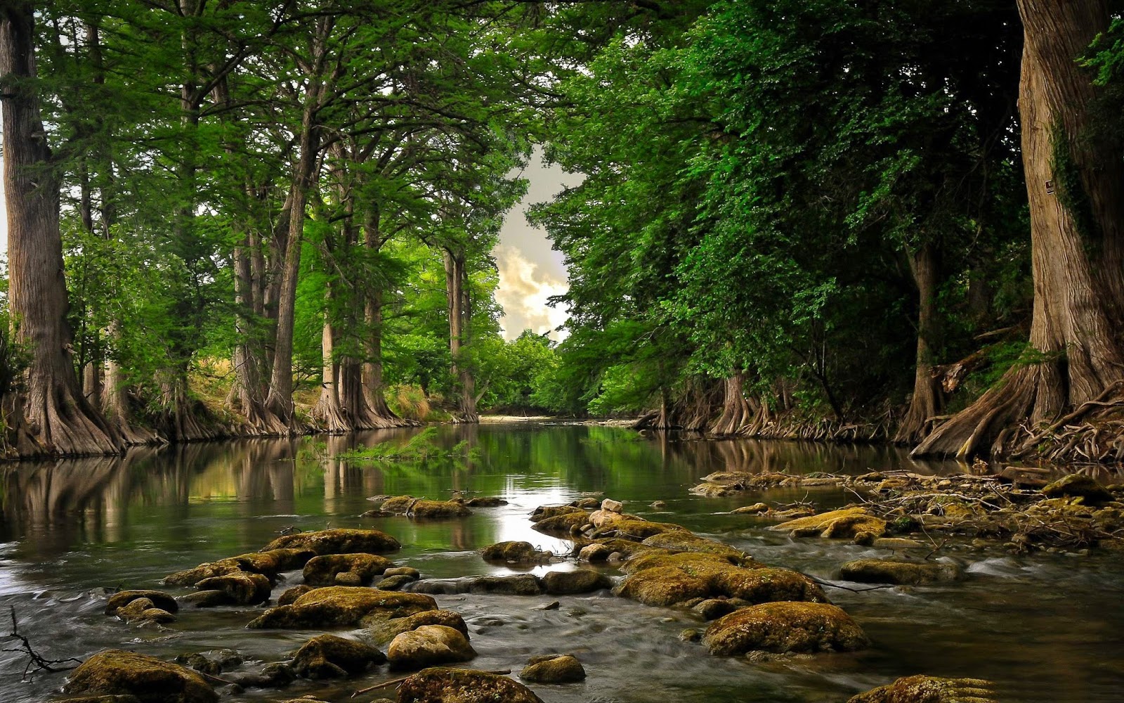 River Landscape Photography - HD Wallpaper 