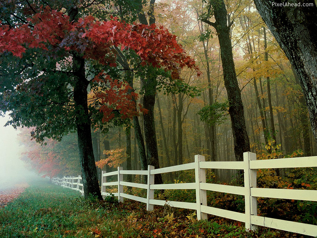 Background Wallpaper - Beautiful Nature In American - HD Wallpaper 