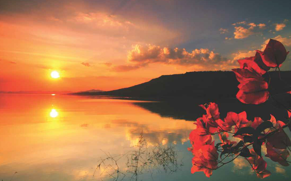 Divine View Of Sunset In The Mountains Wallpaper - Sunset Flowers And Lake - HD Wallpaper 