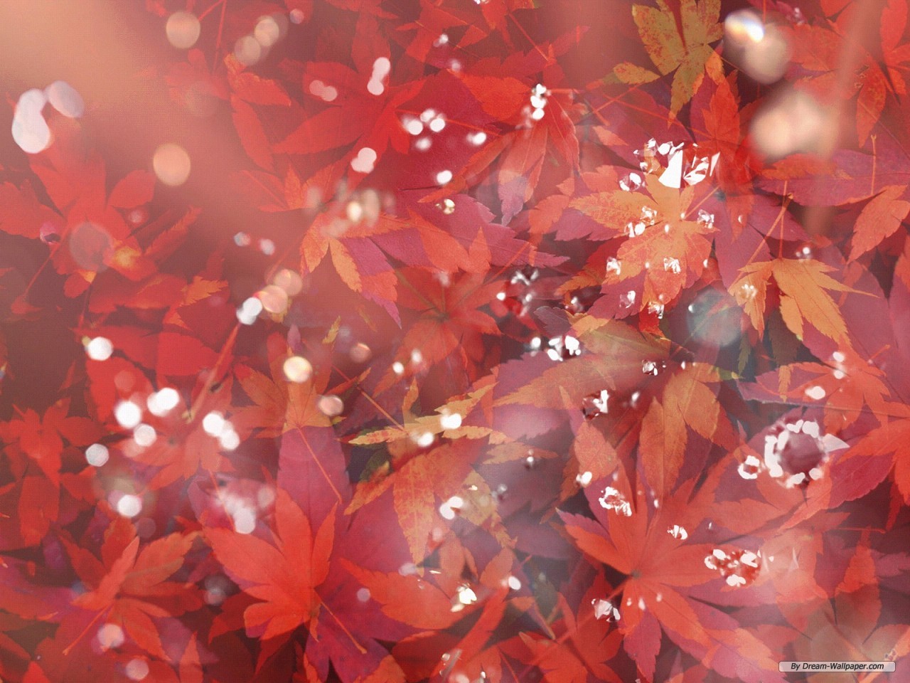 Free Nature Wallpaper - Fall Winter Background Free - HD Wallpaper 