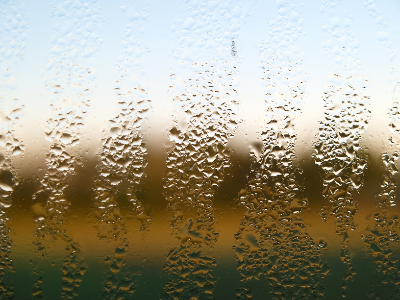 Humidity - Condensation Water - HD Wallpaper 