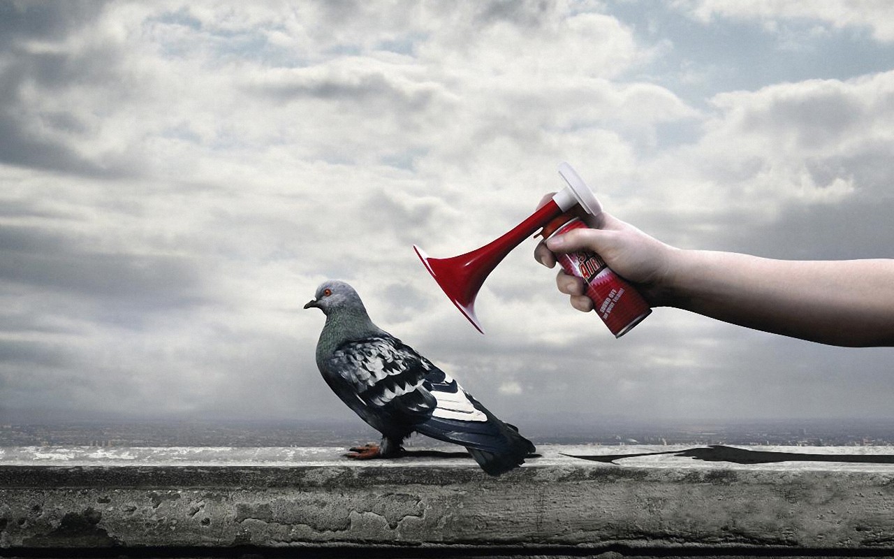 Anti Bird Spray - HD Wallpaper 