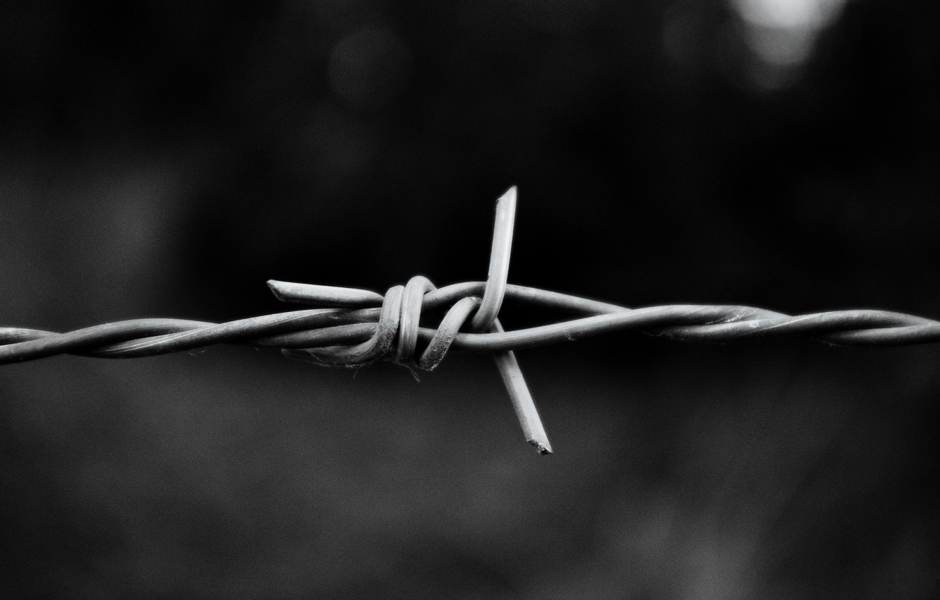 Photo Wallpaper Macro, Aluminum, Barbed Wire - Barbed Wire - HD Wallpaper 