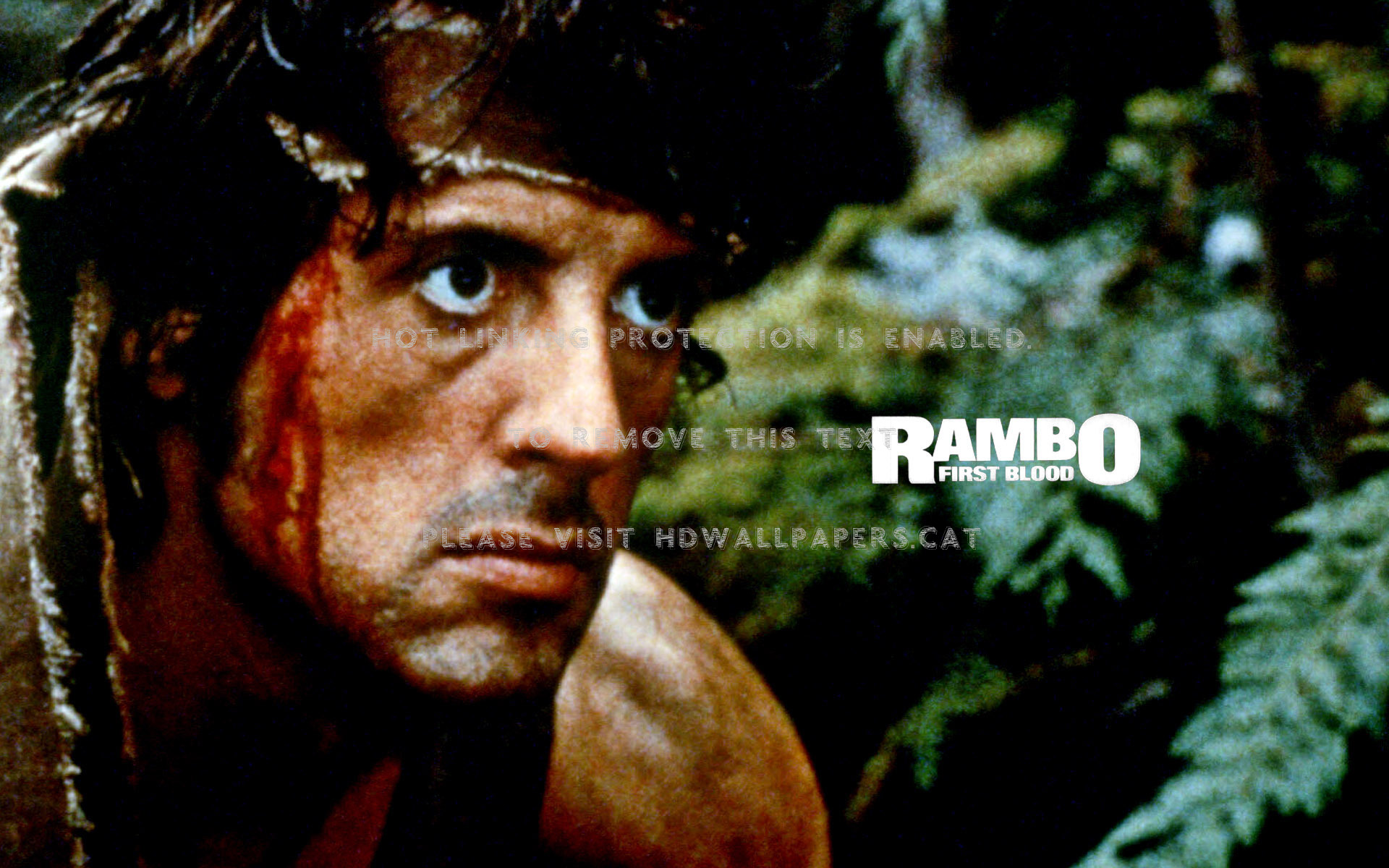 First Blood Rambo Movie Entertainment - First Blood - HD Wallpaper 