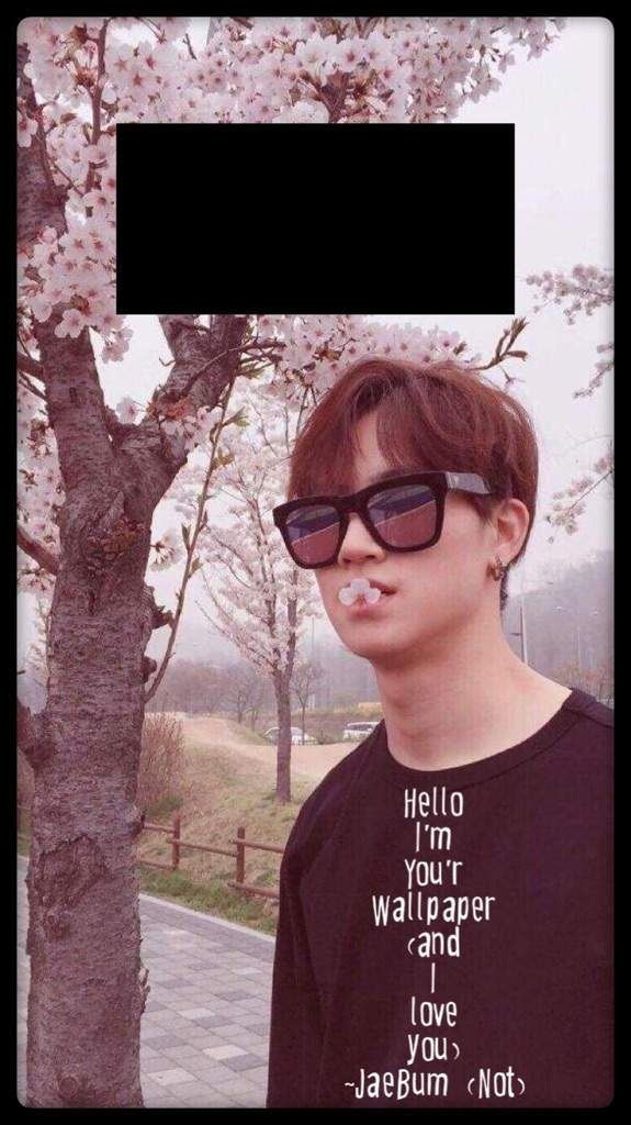 User Uploaded Image - Jaebum Cherry Blossom - HD Wallpaper 