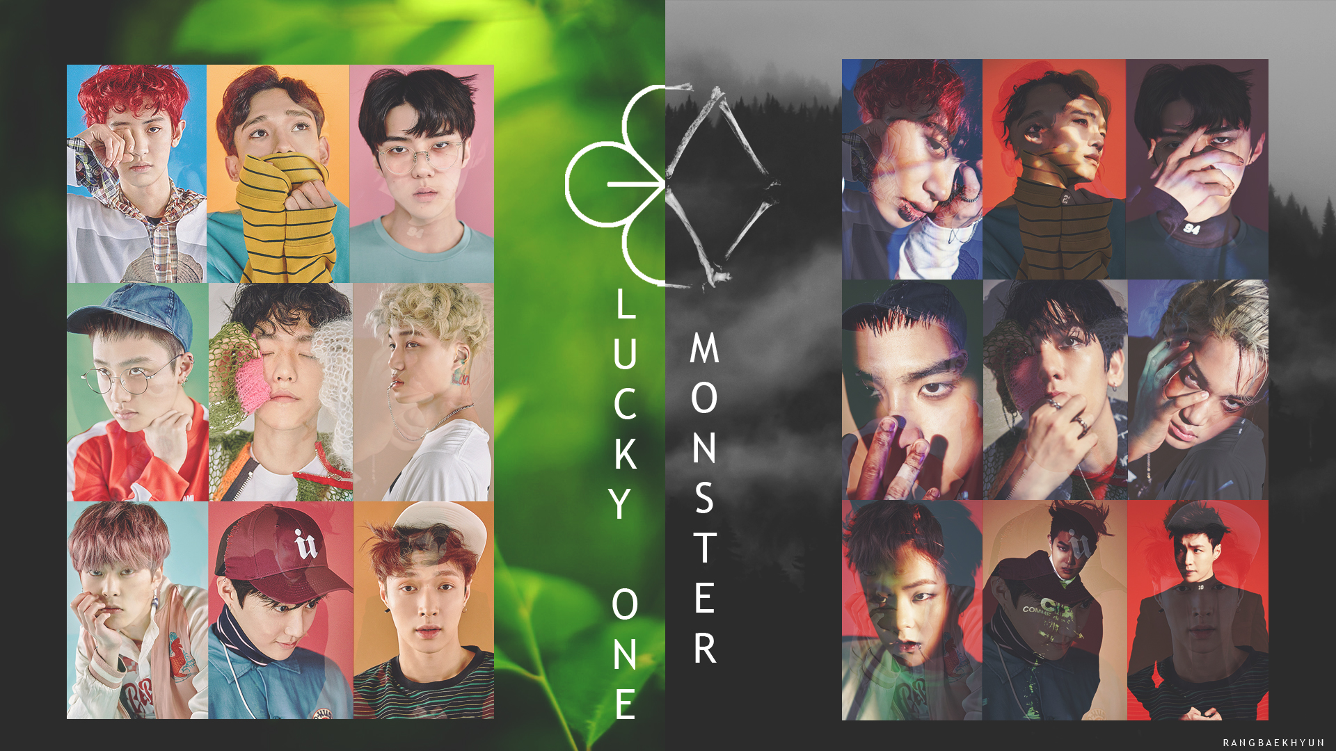 Collage - HD Wallpaper 