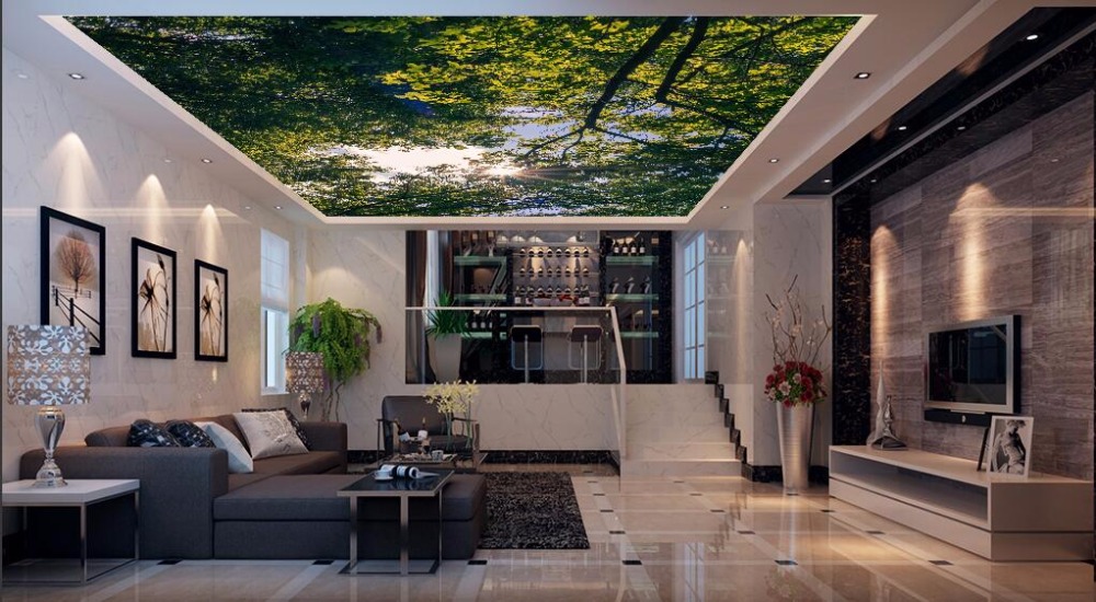 Tranh Dán Trần 3d Sang - HD Wallpaper 