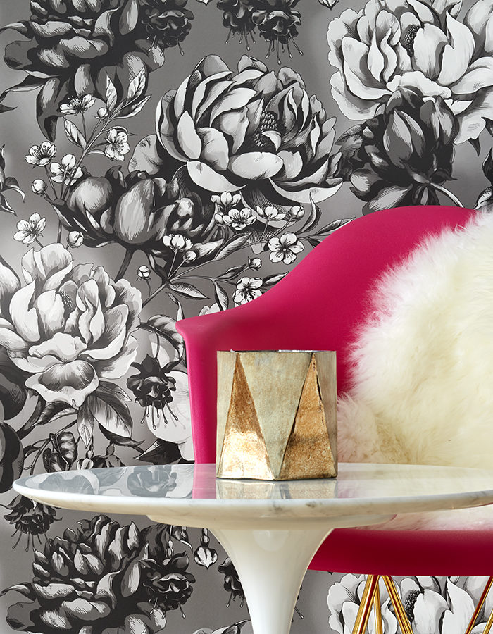 Peony - HD Wallpaper 