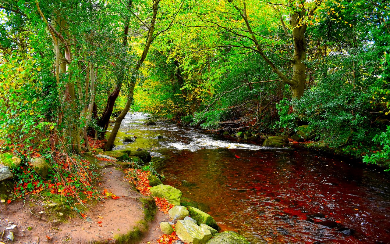 Bright Green Trees & Red Creek Wallpapers - Red Creek - HD Wallpaper 