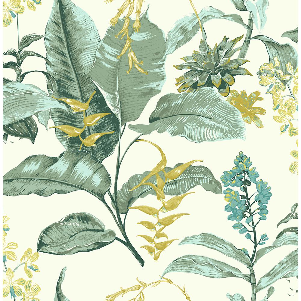 Maui Green Botanical - HD Wallpaper 