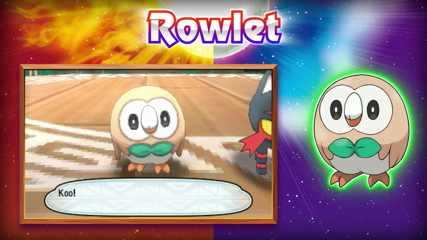 Pokemon Sun And Moon Grass Starter Rowlet - Rowlet Turning Its Head - HD Wallpaper 
