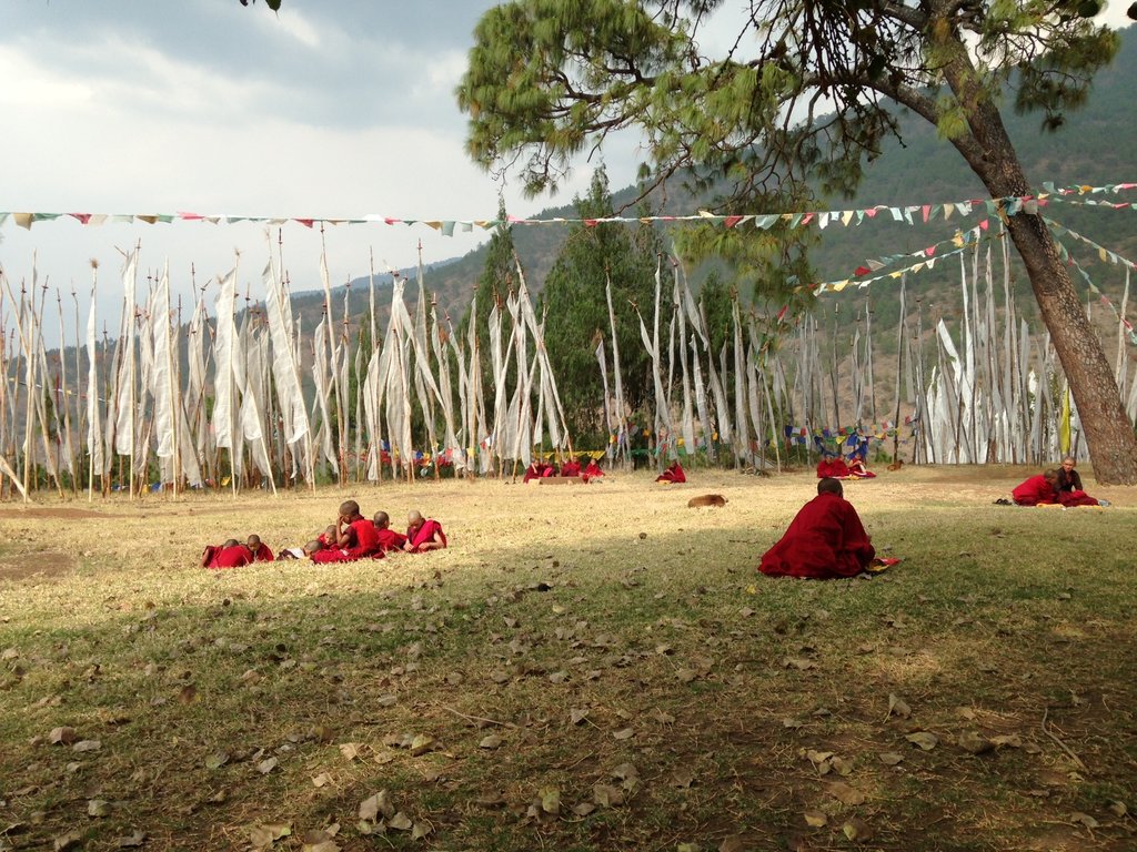 Field - HD Wallpaper 