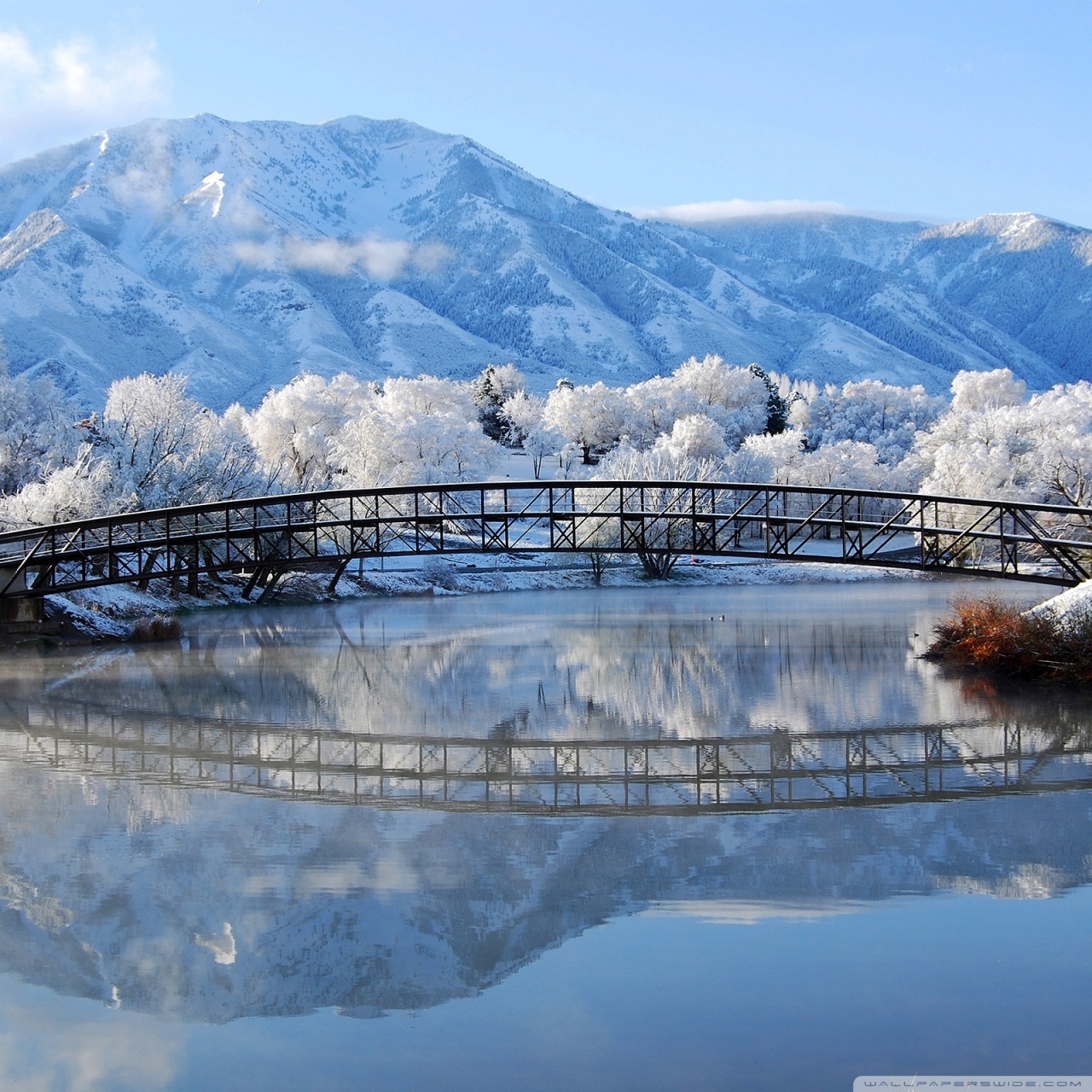 Most Beautiful Winter Landscapes - HD Wallpaper 