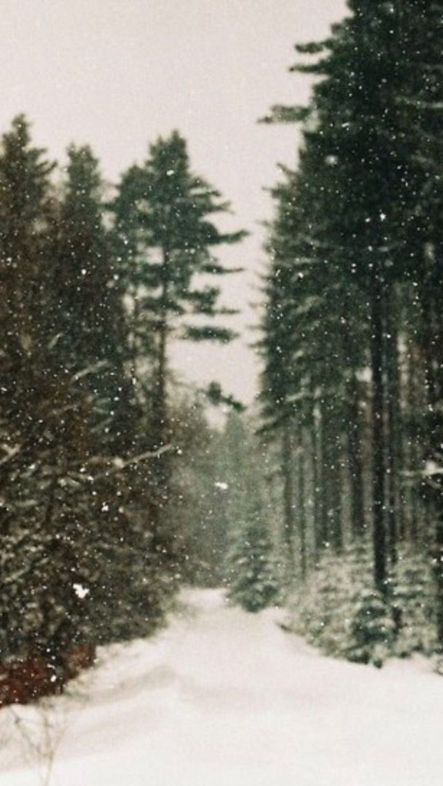 White Christmas Wallpaper Iphone - HD Wallpaper 