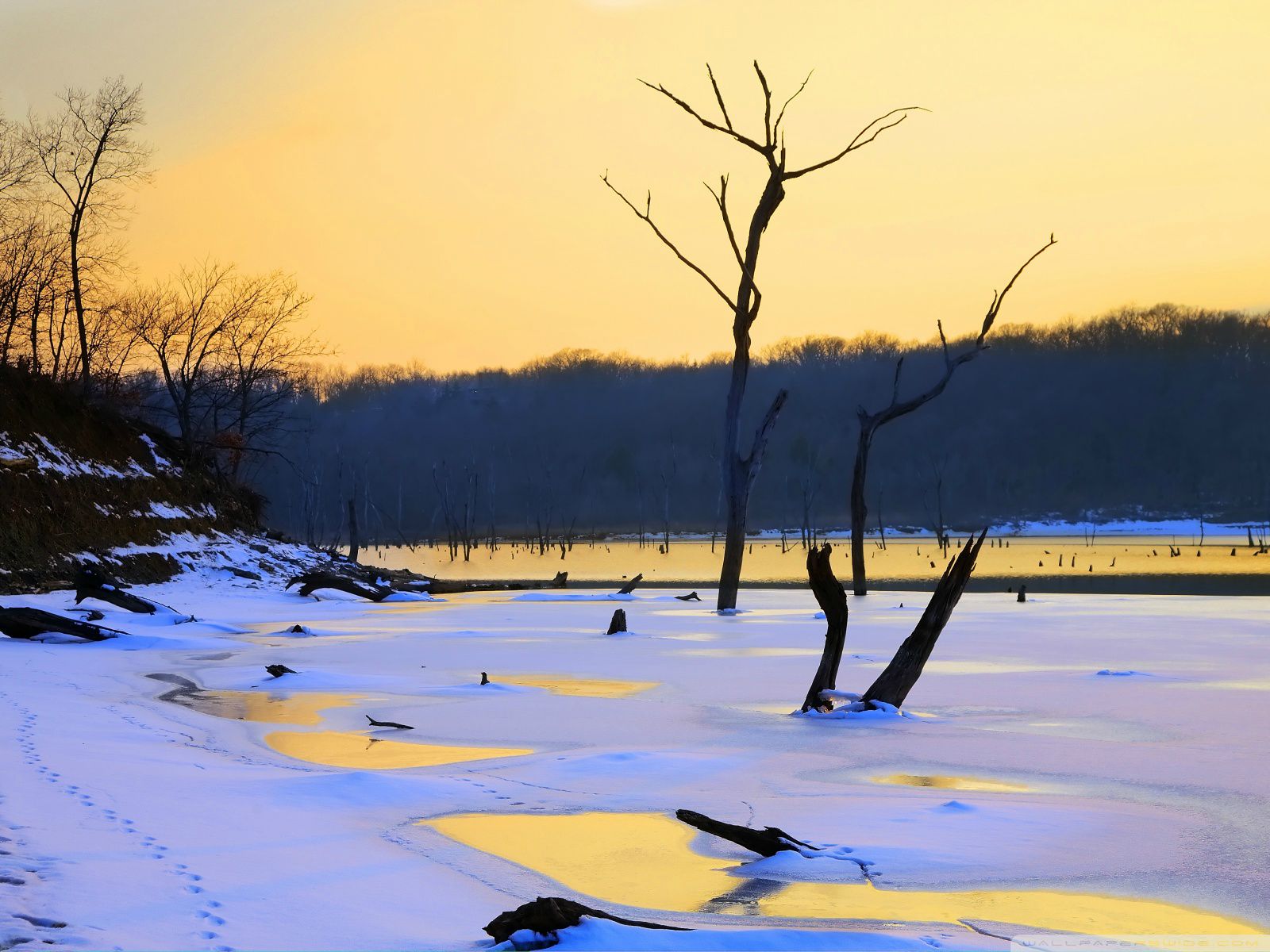 Tablet Computer - HD Wallpaper 