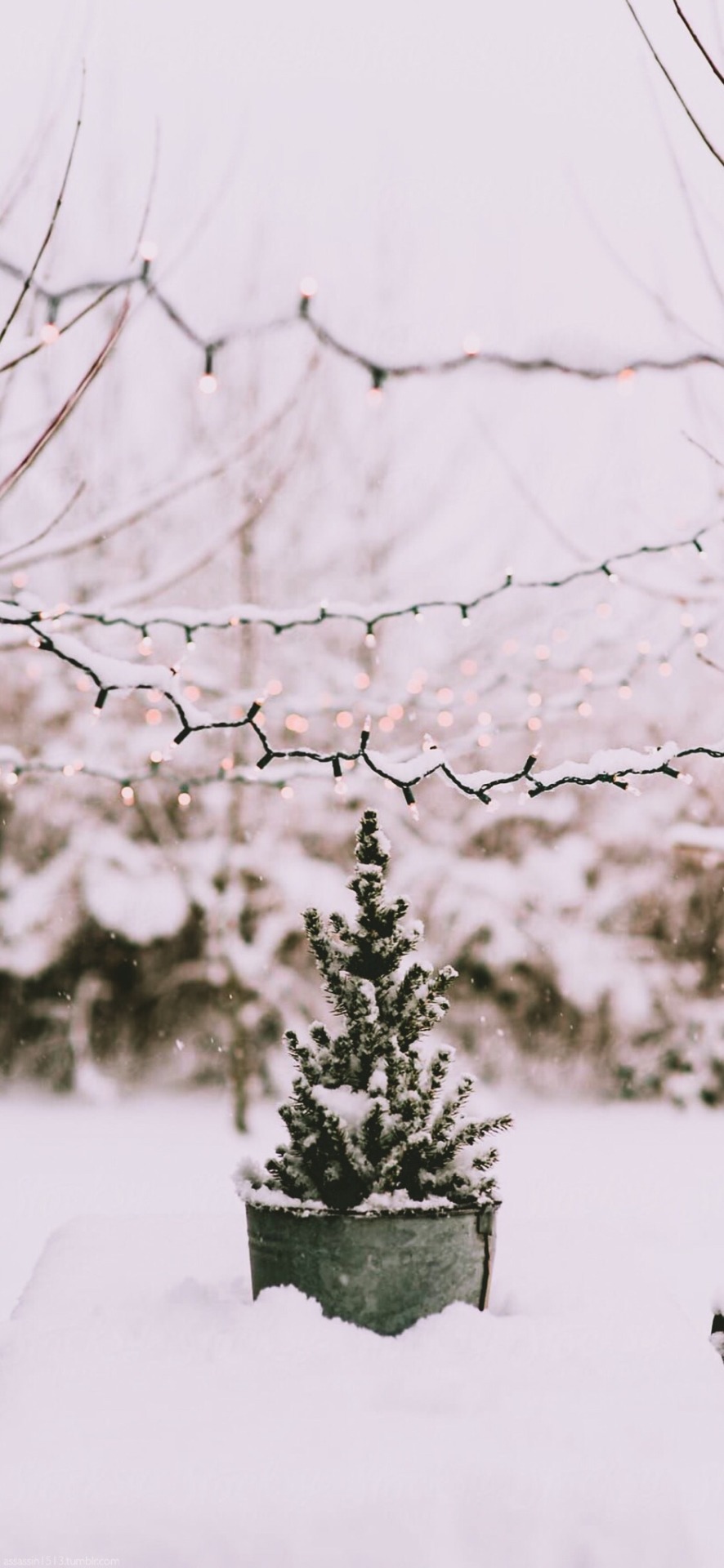 Image - Iphone 11 - HD Wallpaper 