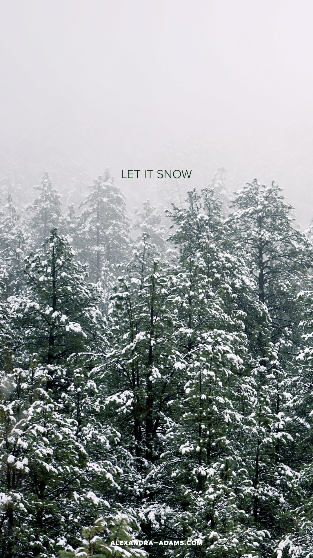 Phone Wallpapers Winter - 1080x1920 Wallpaper - teahub.io