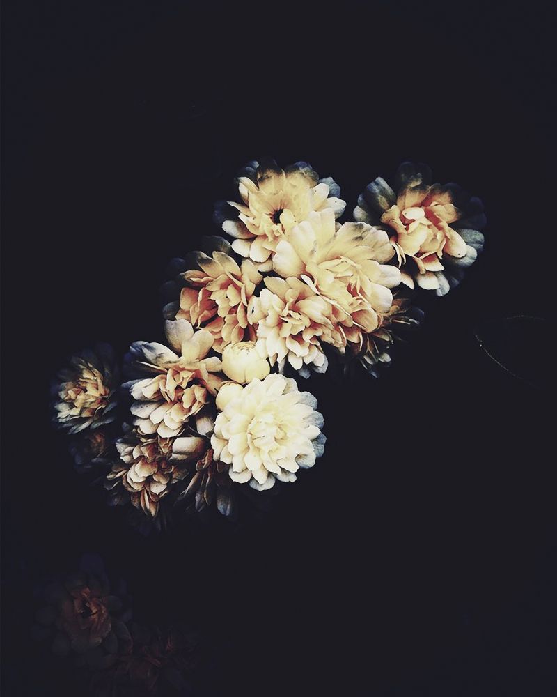 Ashley Woodson Bailey - Photography - HD Wallpaper 