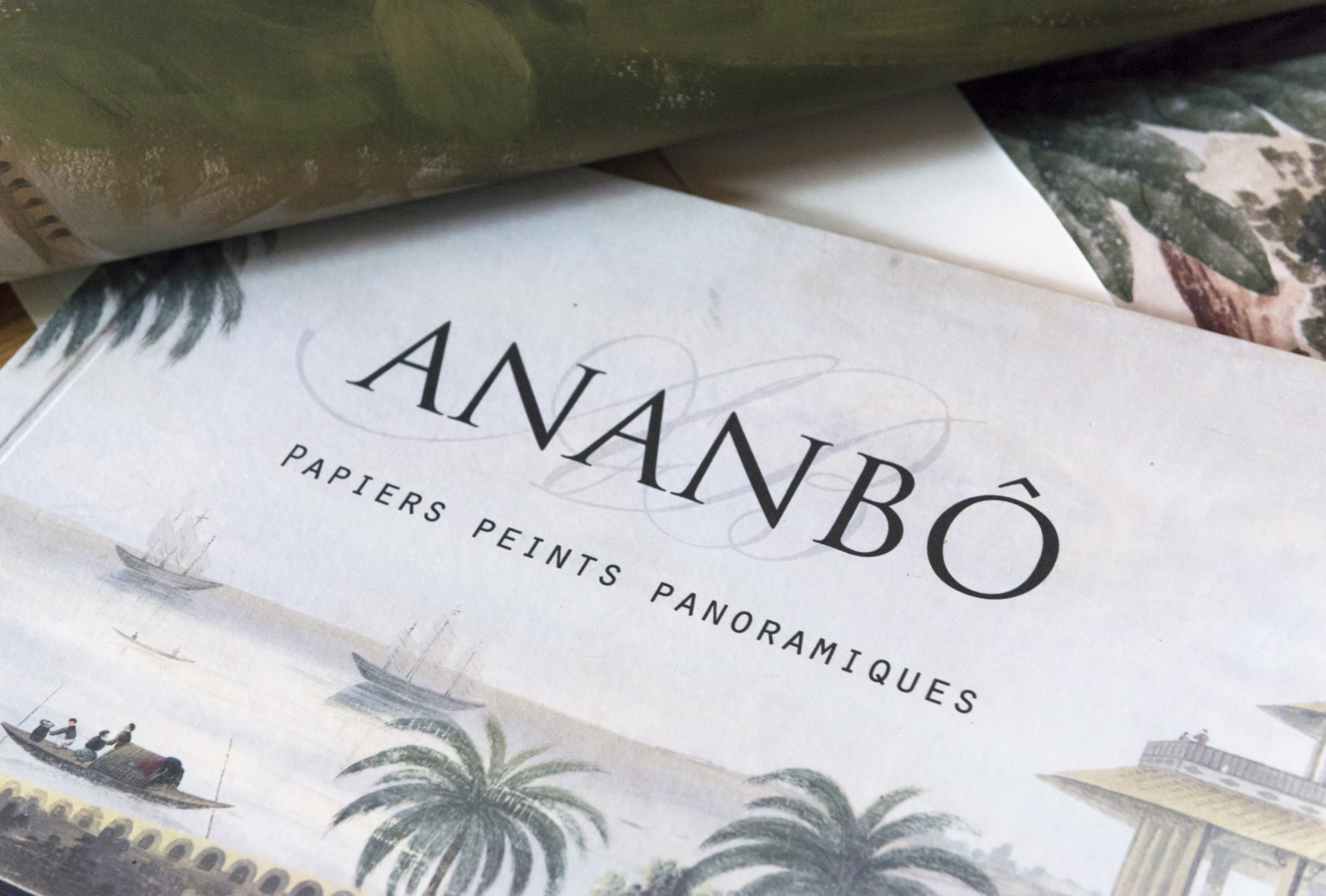 Attalea Speciosa - HD Wallpaper 