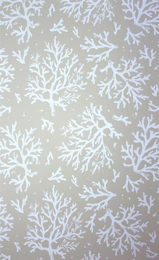 Wallpaper - HD Wallpaper 