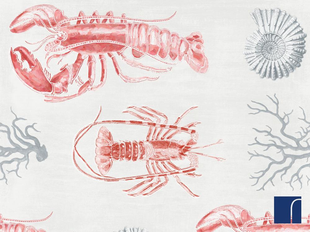 Lobster - HD Wallpaper 