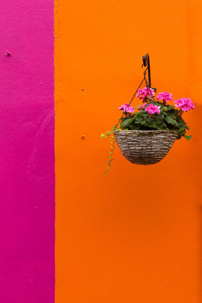 Pink And Orange Colour Combination - HD Wallpaper 
