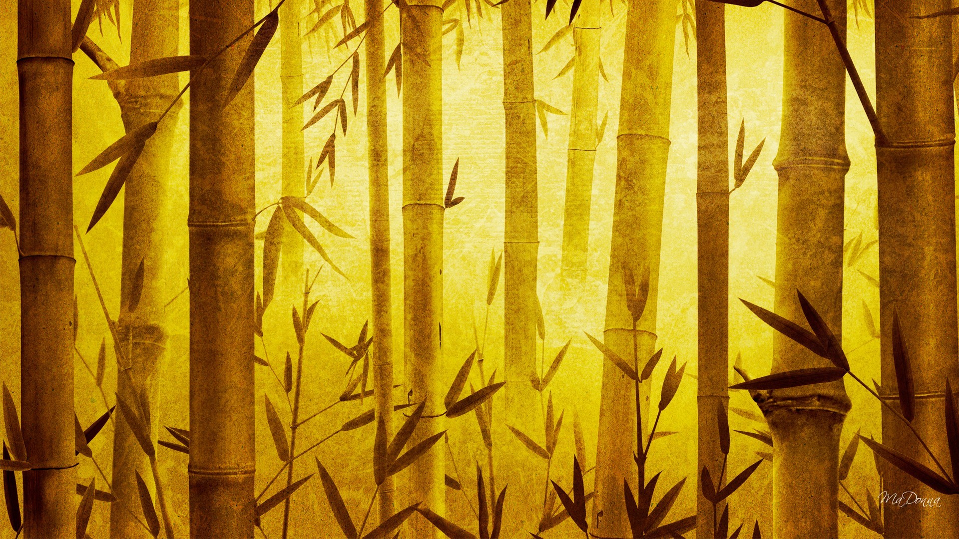 Bamboo Forest Wallpaper Bamboo Forest Japan Computer - Bamboo Background Design Hd - HD Wallpaper 