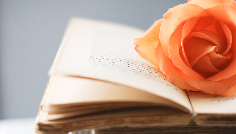 Style, Book, Orange, Flower, Book, Flowers, Rose Desktop - Book Background Images Hd With Flower - HD Wallpaper 