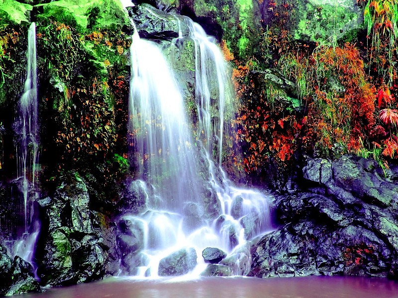 Bamboo Forest Falls Wallpaper - Wallpaper - HD Wallpaper 