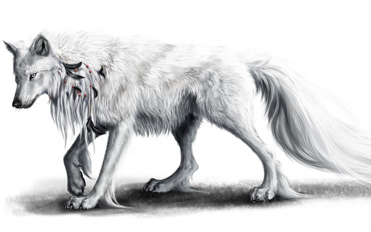White Wolf & Black Feathers Wallpapers - Белый Волк С Крыльями Арт - HD Wallpaper 