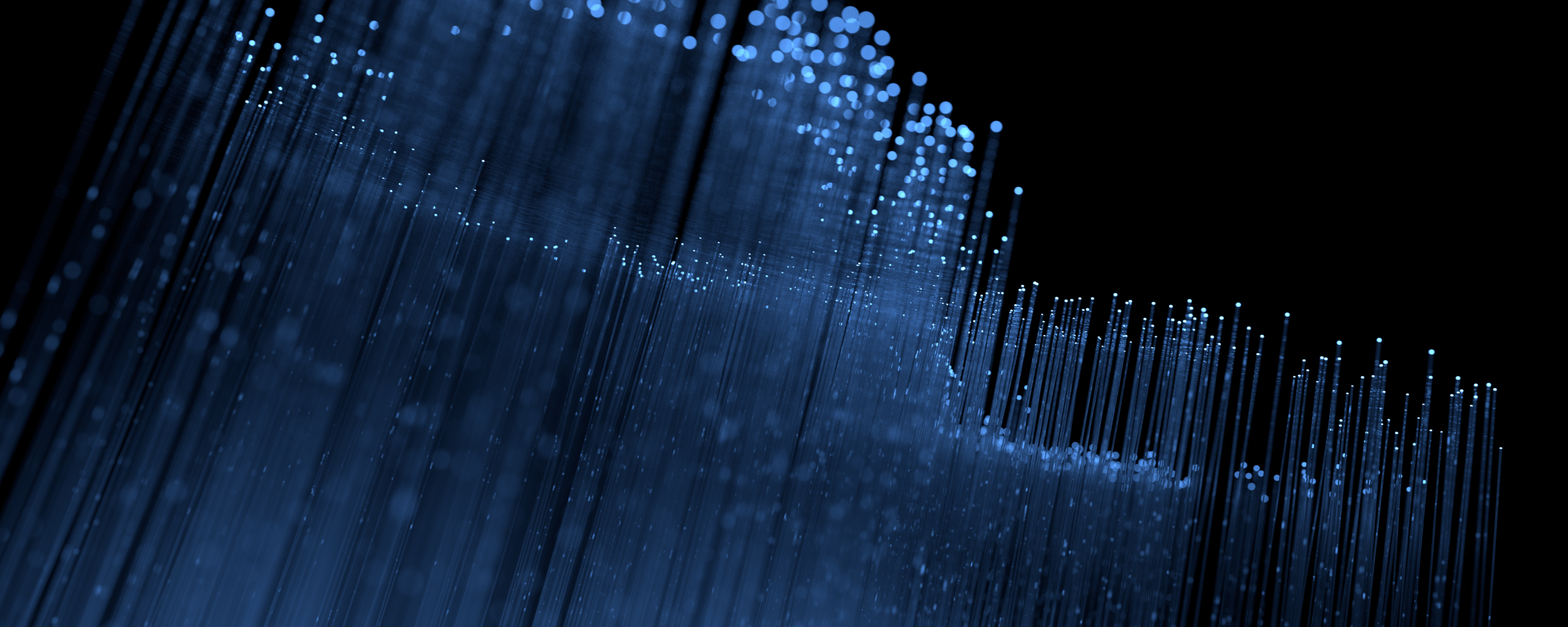 Fedora - HD Wallpaper 