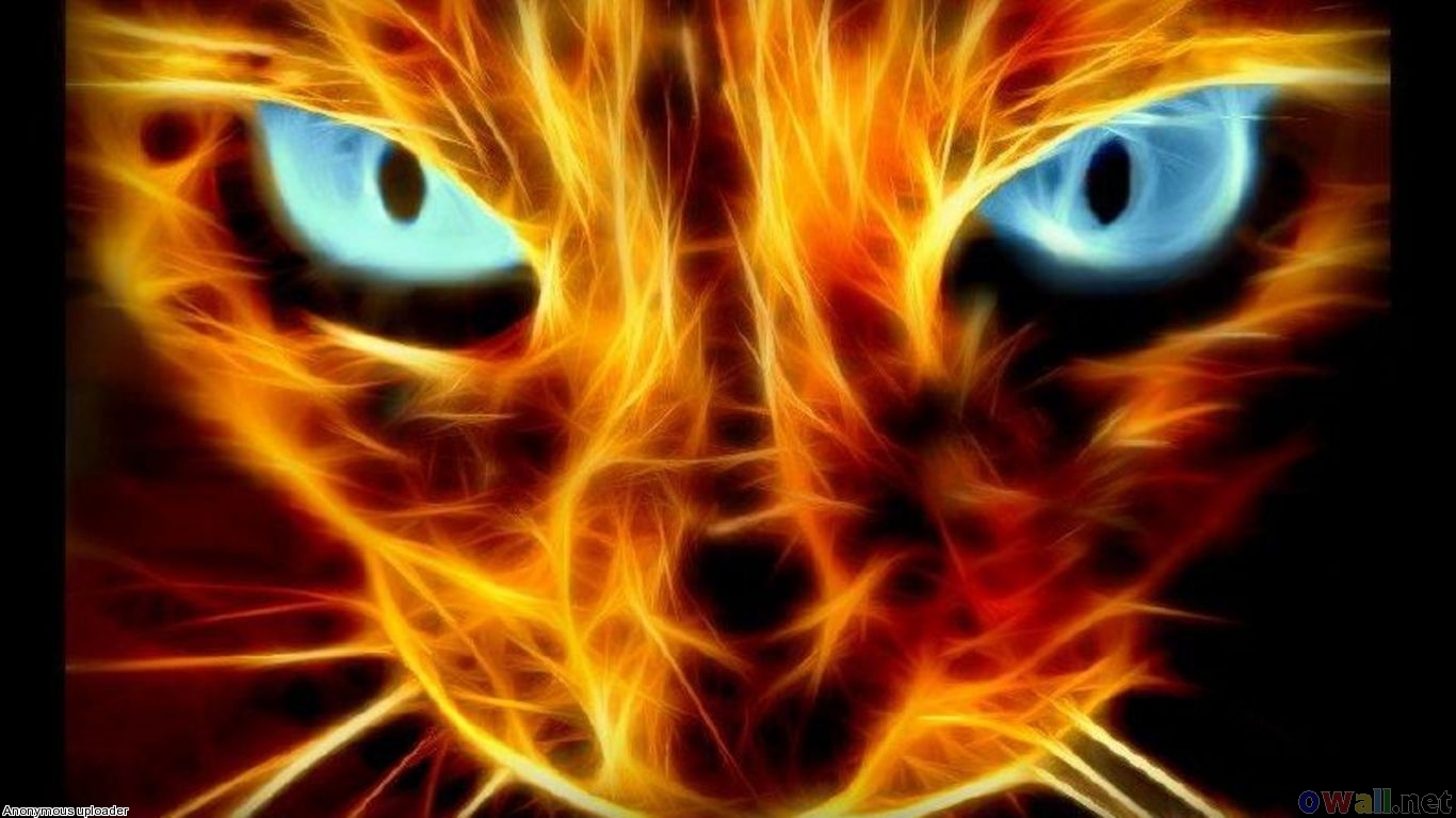 Abstract Cat Burning Open Walls 432884 Wallpaper Wallpaper - Super Cool Awesome Backgrounds - HD Wallpaper 