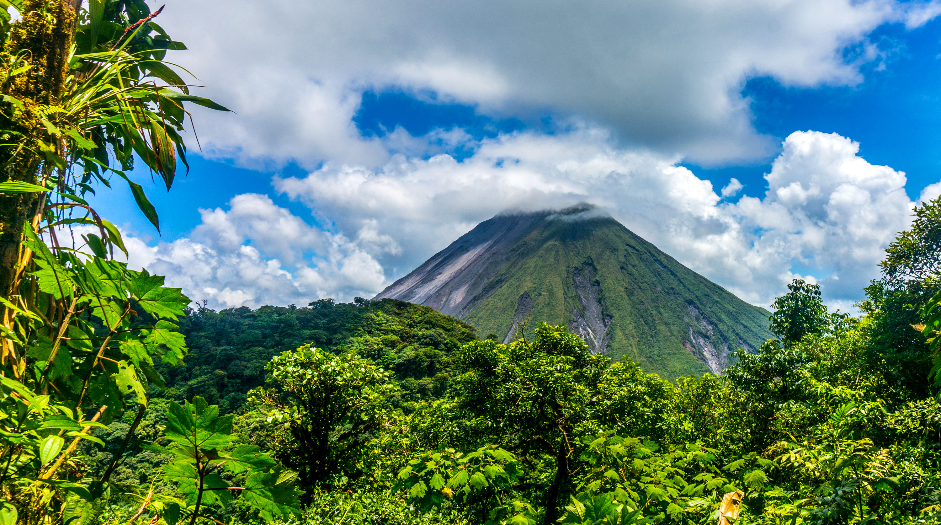 Volcano And Forest In El Salvador Hd Wallpaper - El Salvador Nature - HD Wallpaper 
