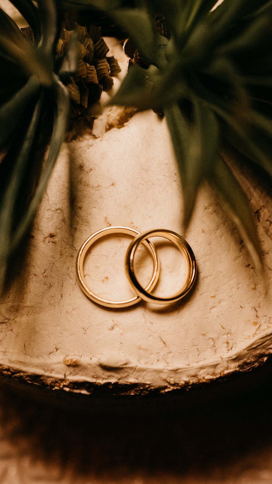 Wallpaper Rings, Gold, Love, Wedding, Romance - Wedding - HD Wallpaper 