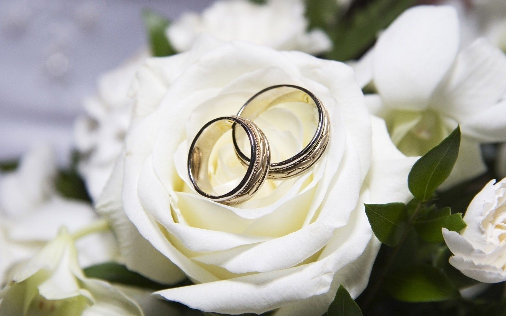 Holidays Wedding Flower Romance Rose Love Marriage - Vestuviu Sukaktis 15 Metu - HD Wallpaper 