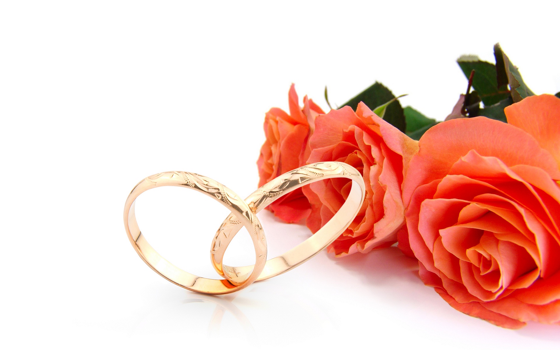 Wedding Ring And Rose Flowers Wallpapers And Backgrounds - Свадебный Кольца И Цветы - HD Wallpaper 