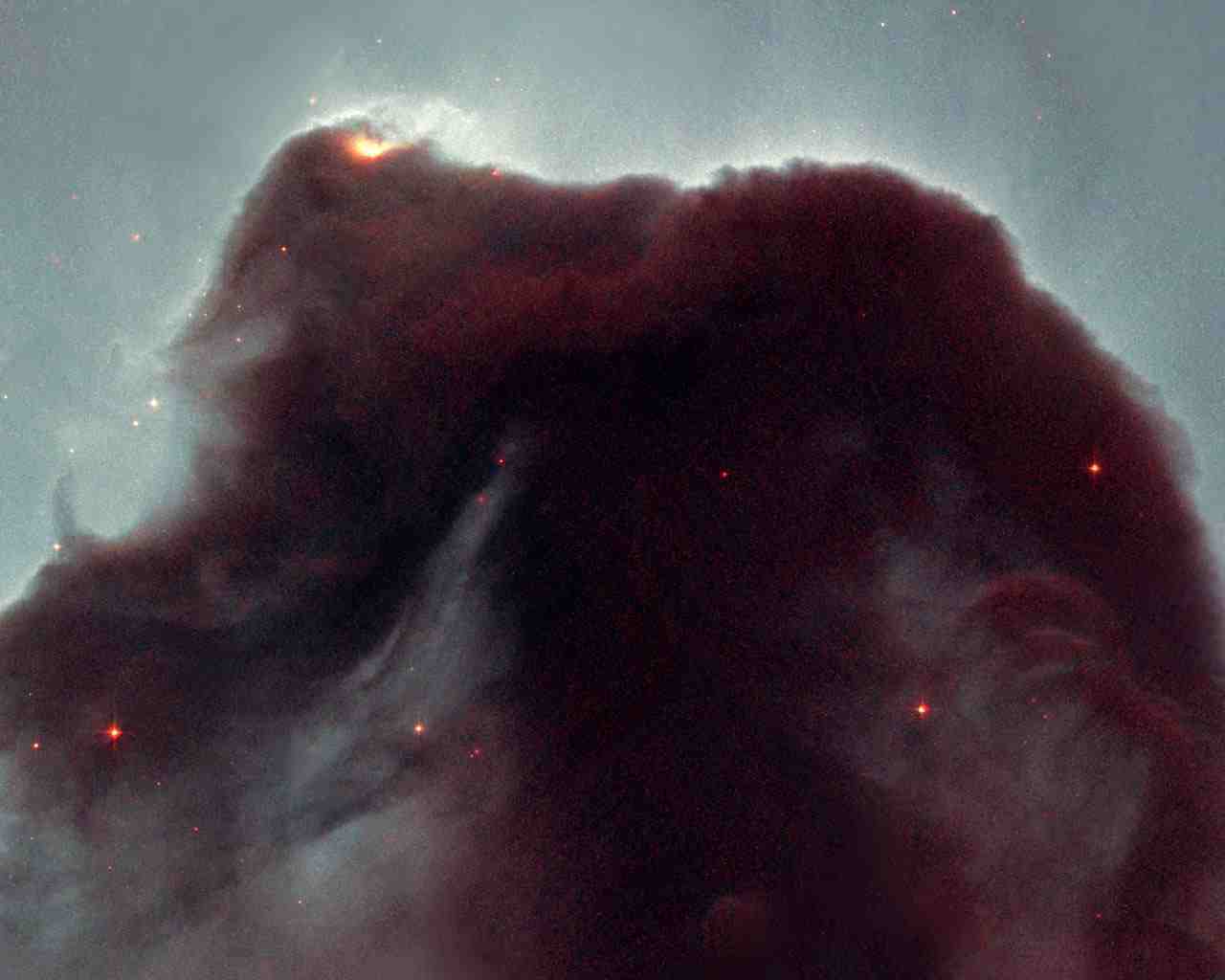 Horsehead Nebula - Темна Туманність - HD Wallpaper 
