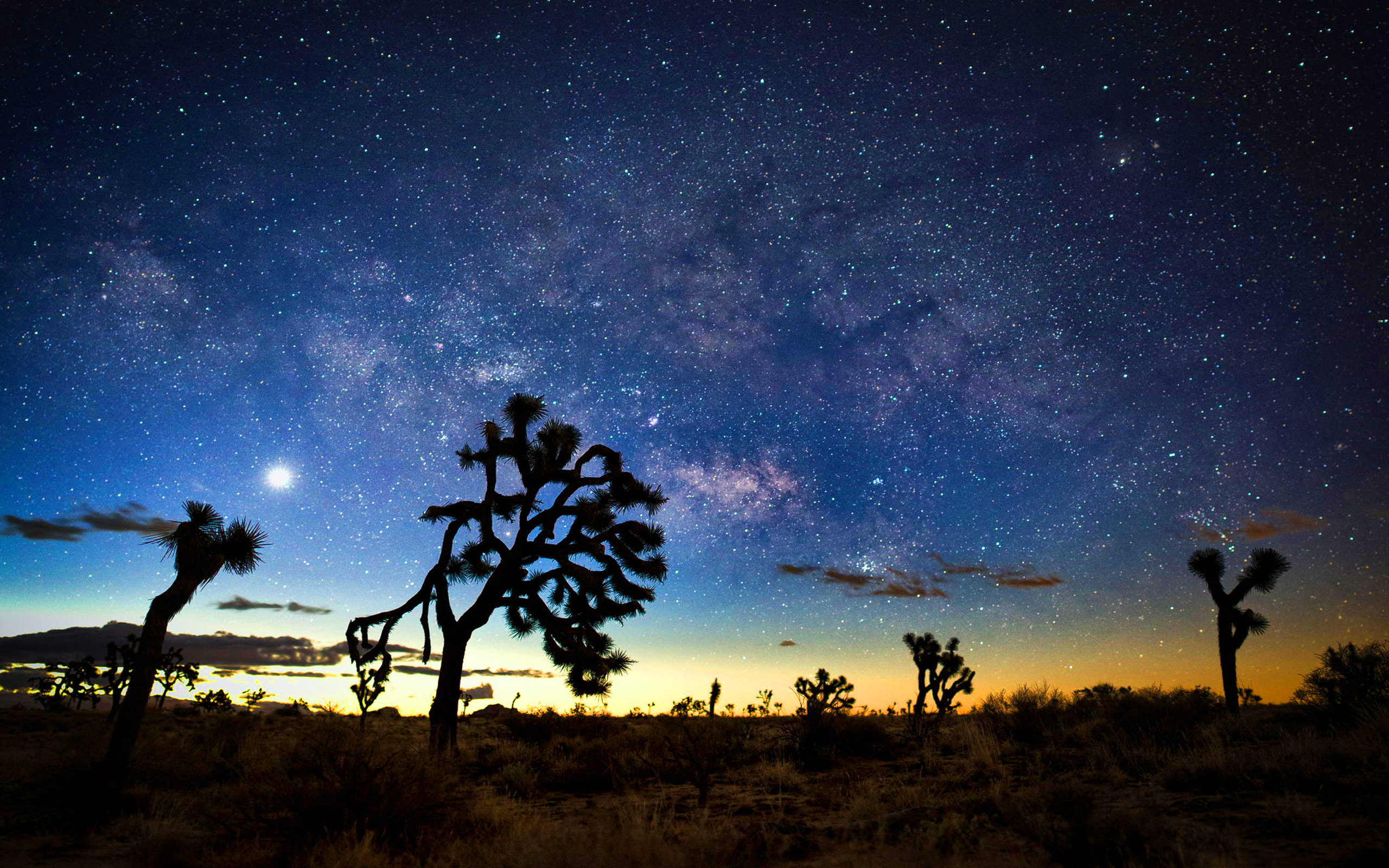 Joshua Tree National Park - HD Wallpaper 