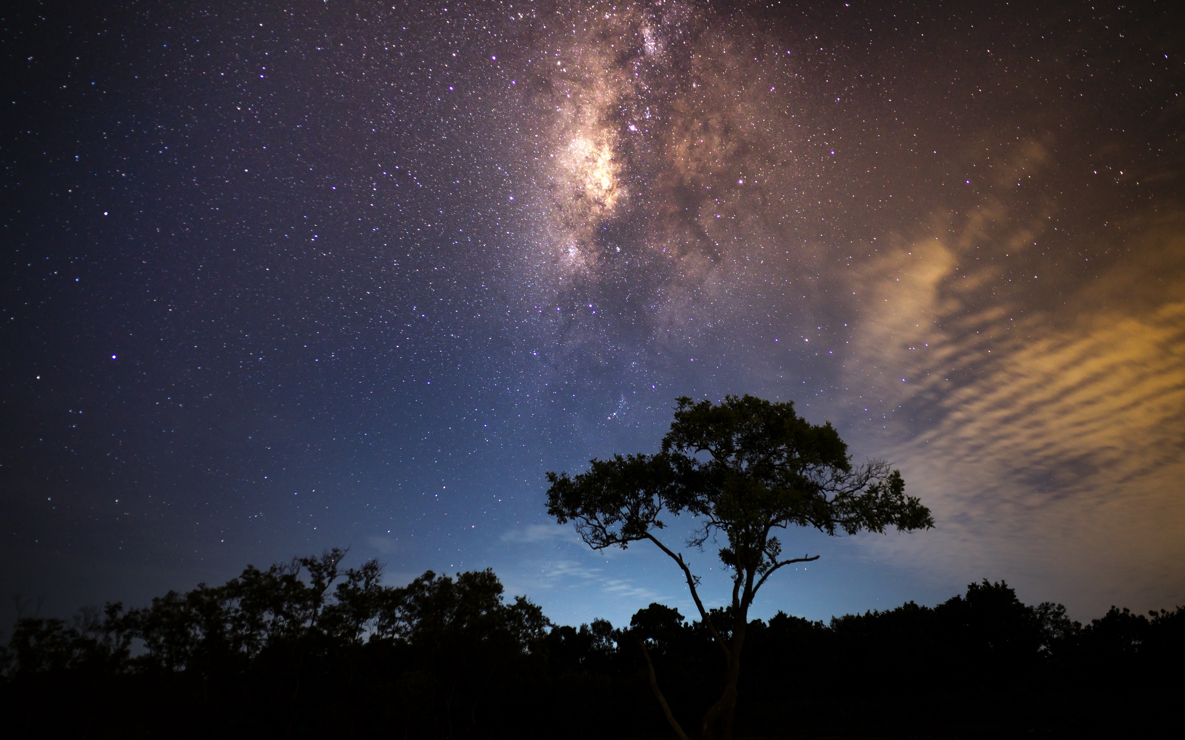 Wallpaper Starry Sky, Tree, Milky Way, Radiance - Iphone Night Sky Wallpaper Milky Way - HD Wallpaper 