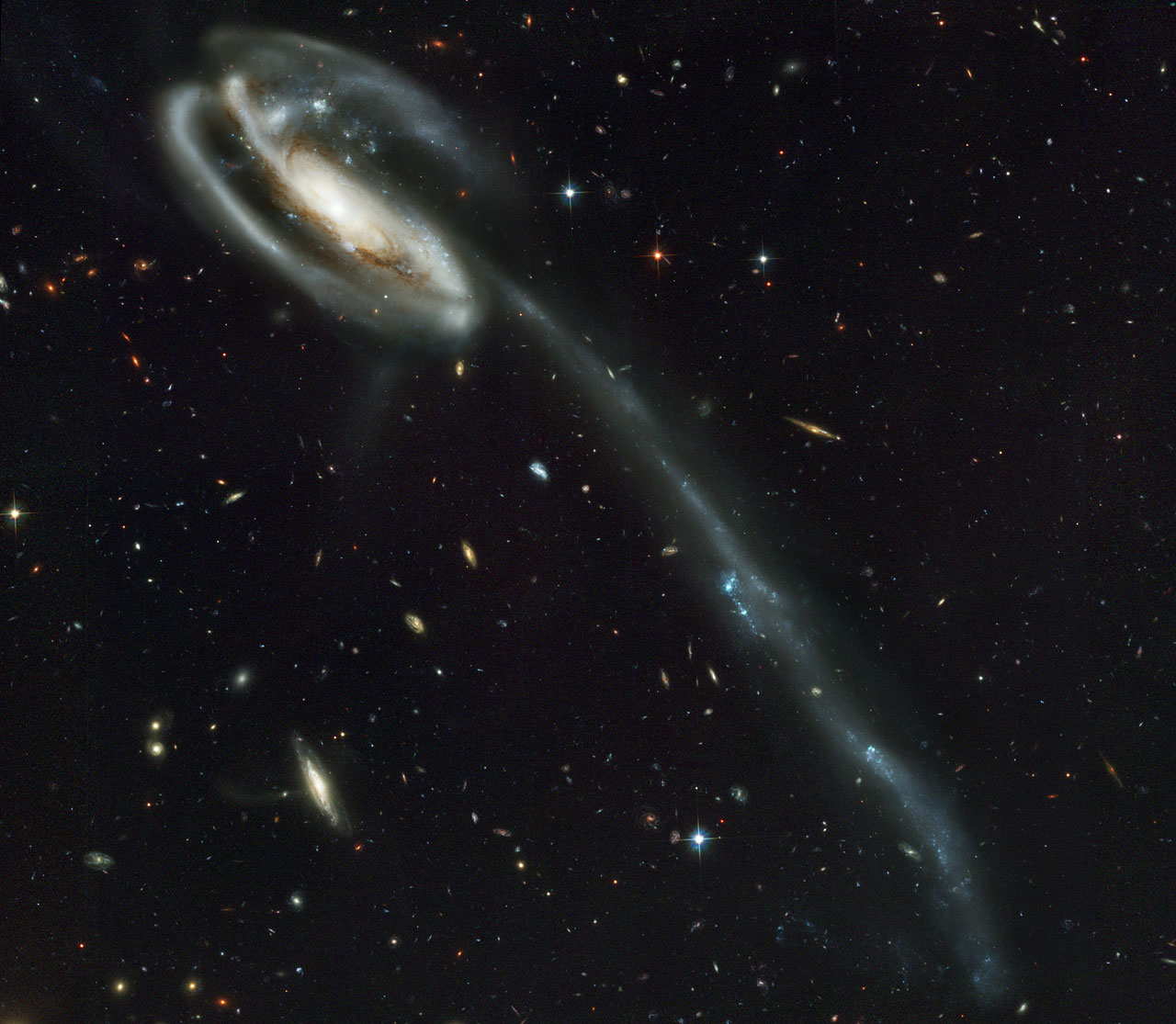 Hubble Space Telescope Wallpapers - Tadpole Galaxy Hubble - HD Wallpaper 