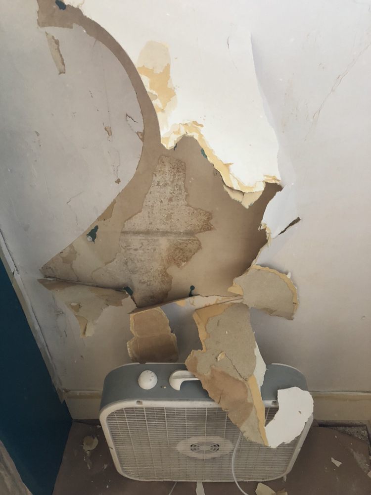 Visual Arts - HD Wallpaper 