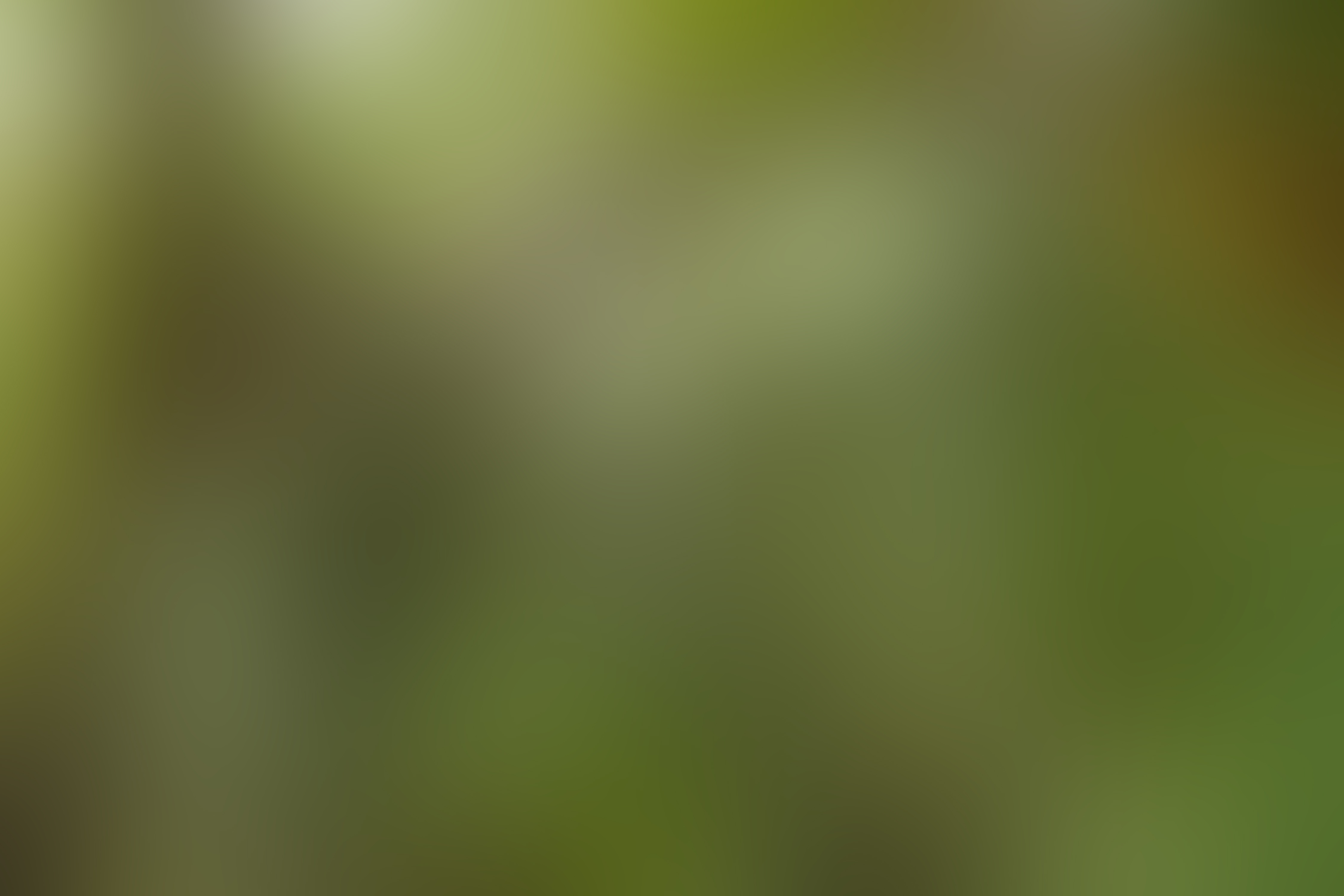 Dark Green Background For Photoshop - HD Wallpaper 