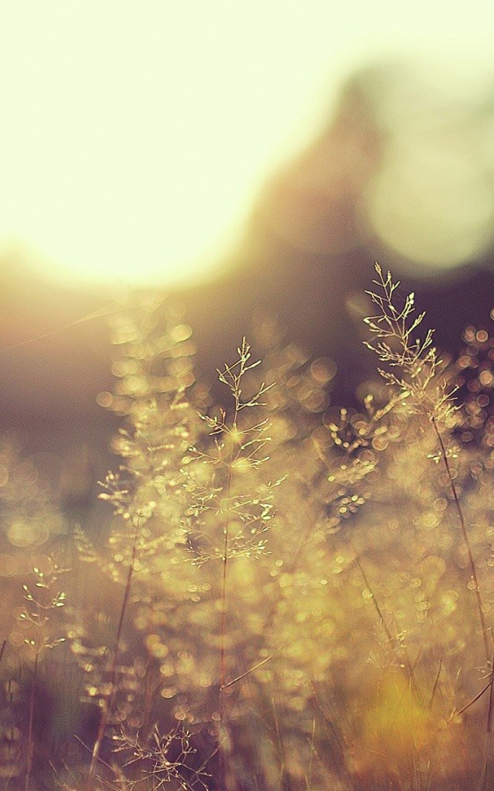 Nokia Windows Phone 7 - HD Wallpaper 