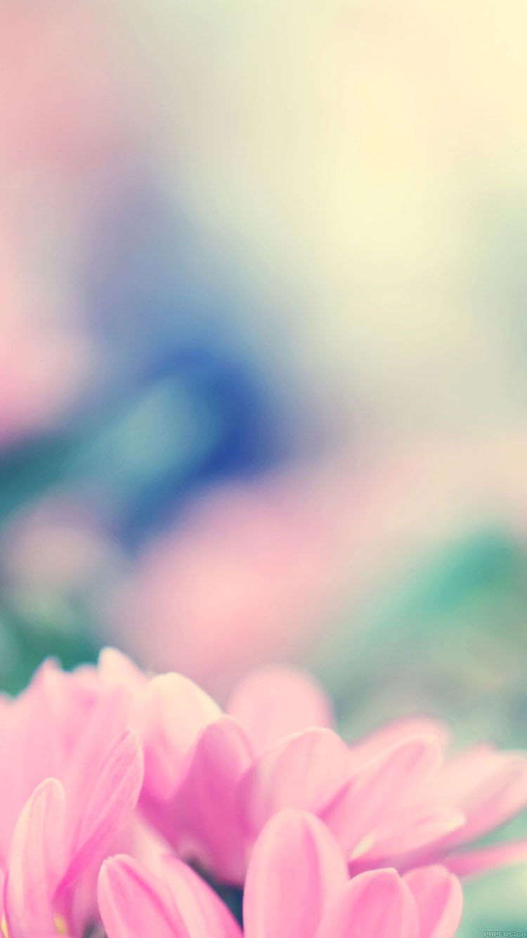 Flowers Blur Background For Iphone - HD Wallpaper 