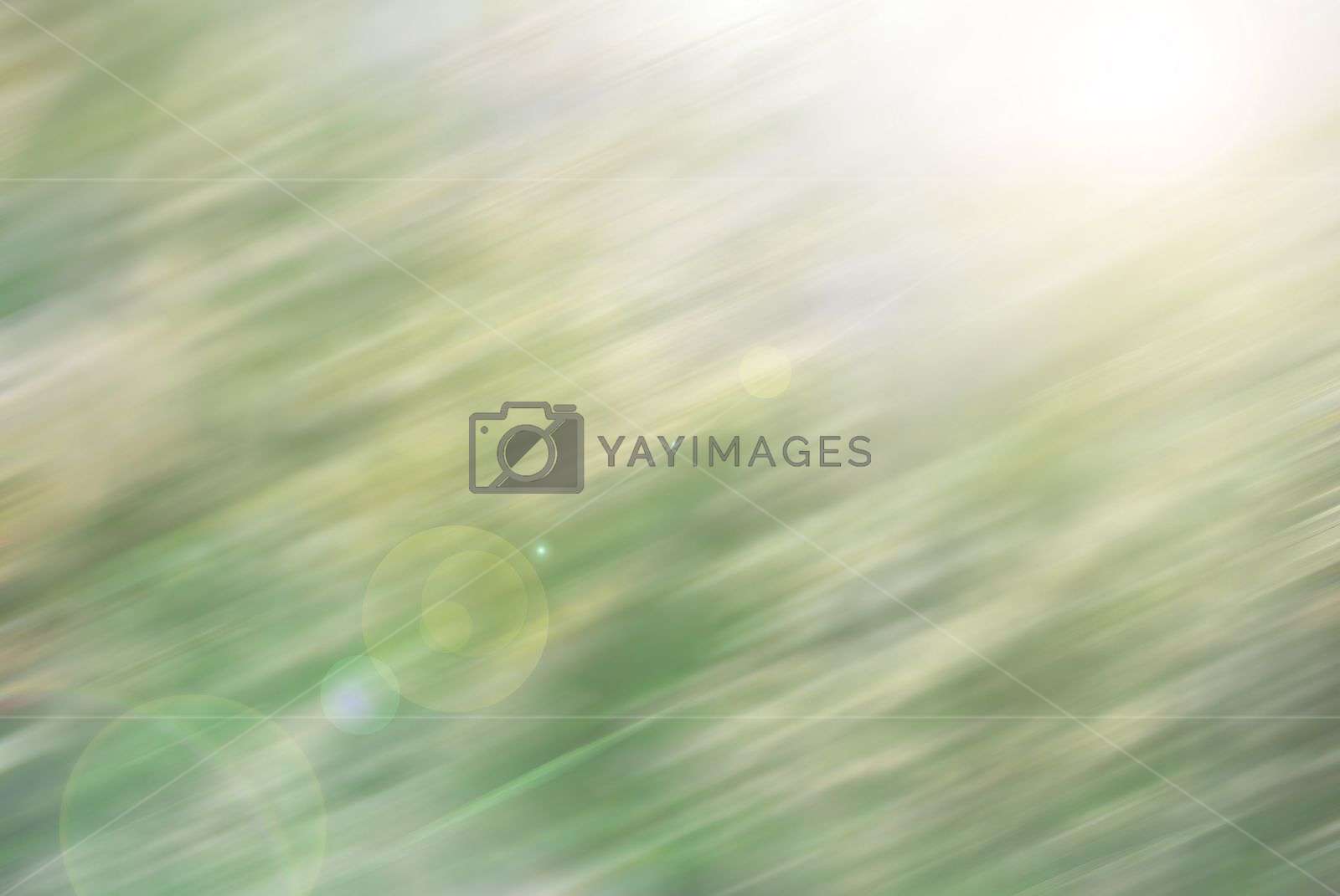 Abstract Motion Blur Background With Lighting Lens - Grass - HD Wallpaper 