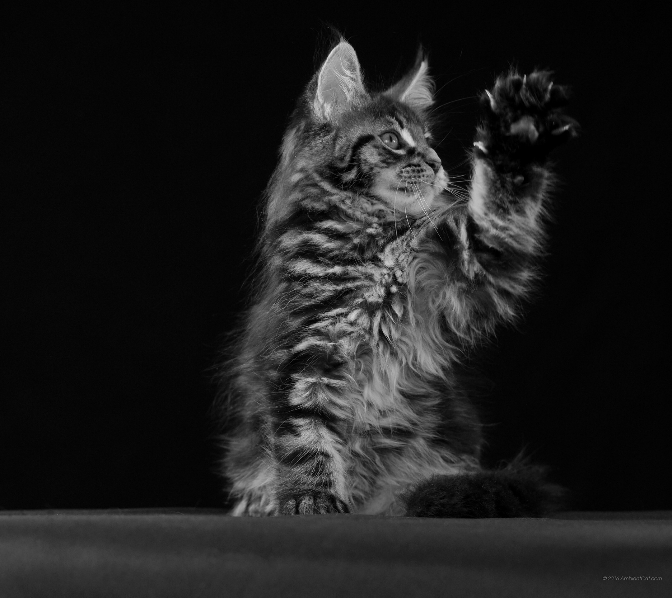 Zte Blade A610 - Wallpaper - HD Wallpaper 